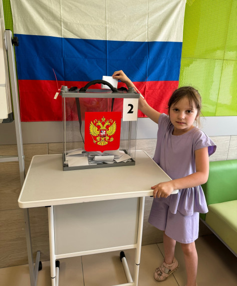 Выборы.